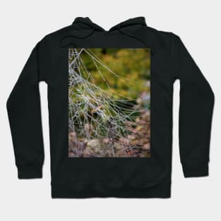 A wet spiderweb Hoodie
